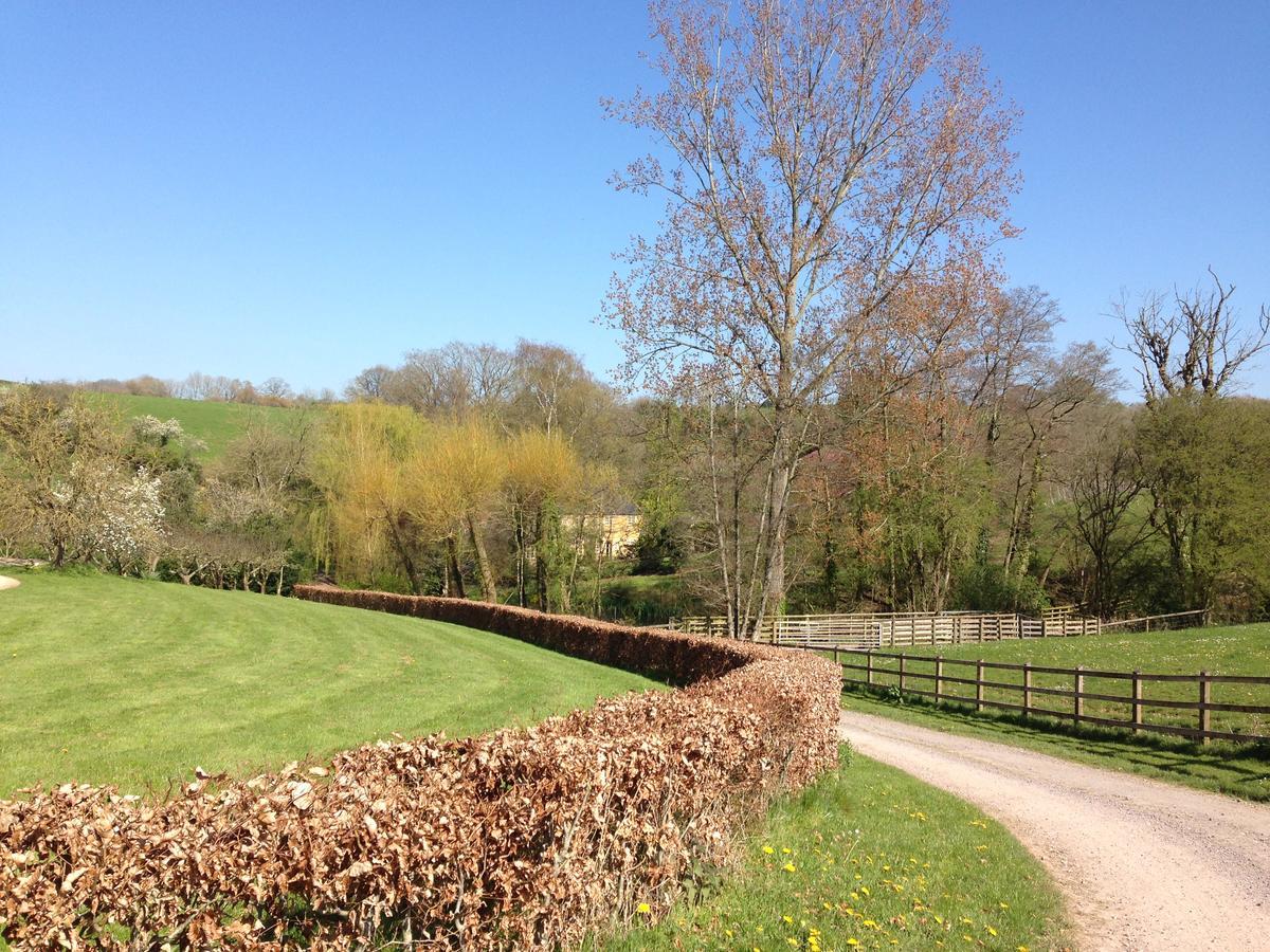 Bagnell Cottage Chiselborough Esterno foto