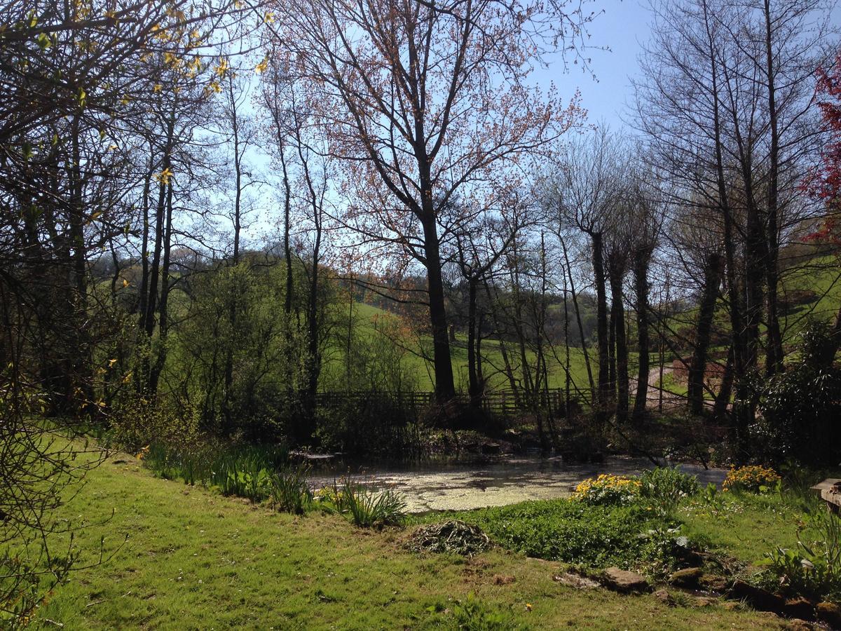 Bagnell Cottage Chiselborough Esterno foto