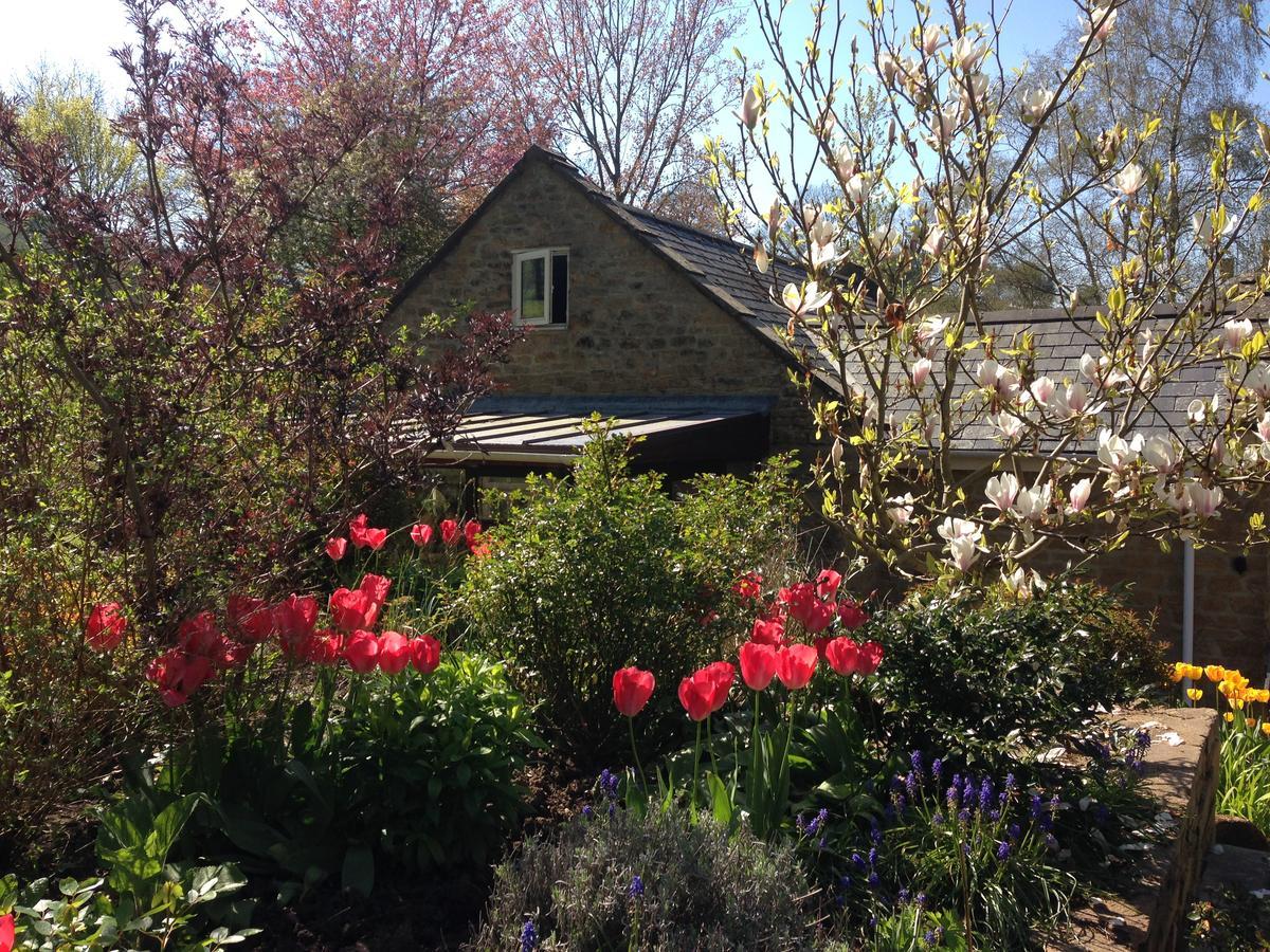 Bagnell Cottage Chiselborough Esterno foto