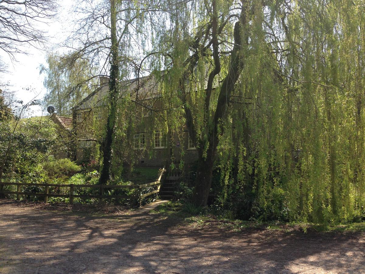 Bagnell Cottage Chiselborough Esterno foto