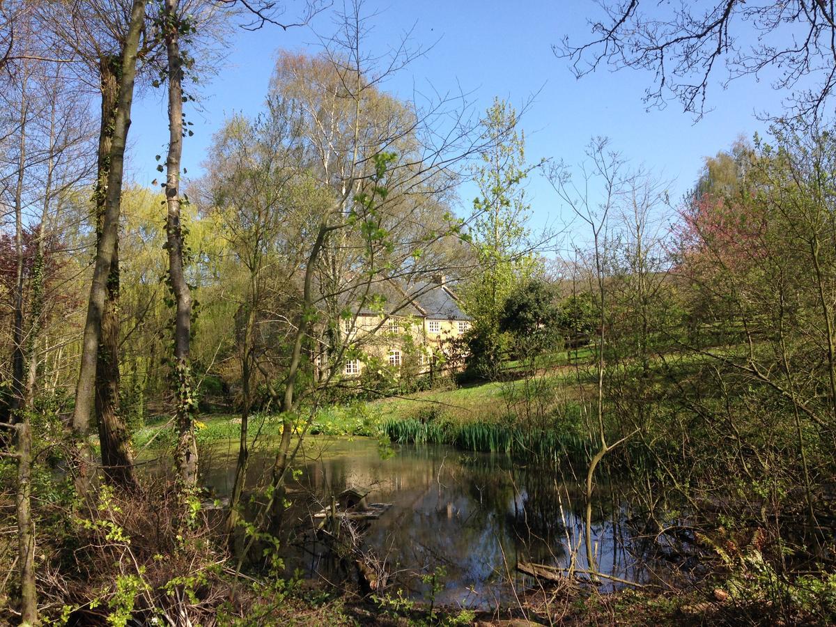 Bagnell Cottage Chiselborough Esterno foto