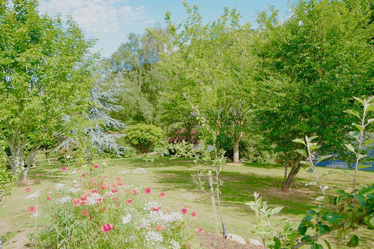 Bagnell Cottage Chiselborough Esterno foto