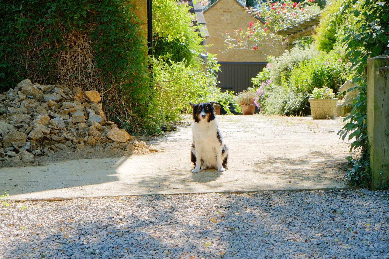 Bagnell Cottage Chiselborough Esterno foto