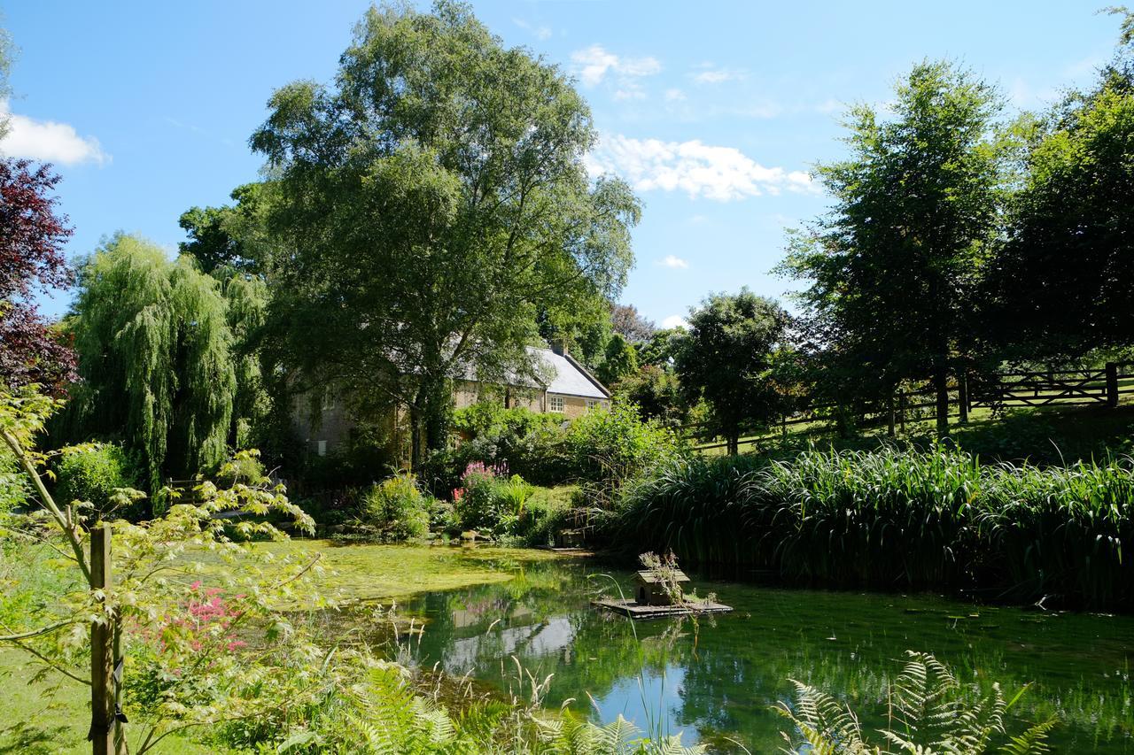 Bagnell Cottage Chiselborough Esterno foto