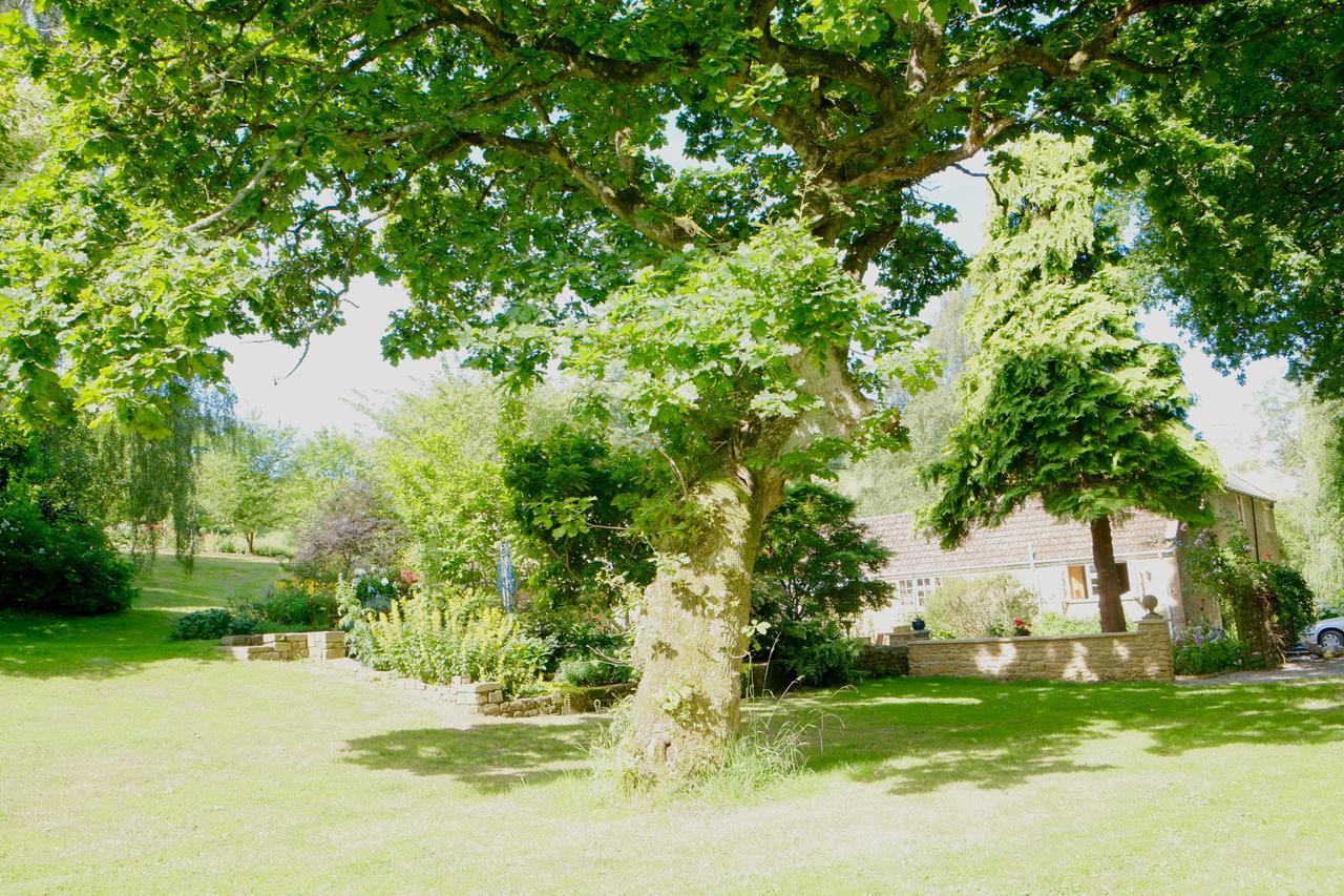 Bagnell Cottage Chiselborough Esterno foto